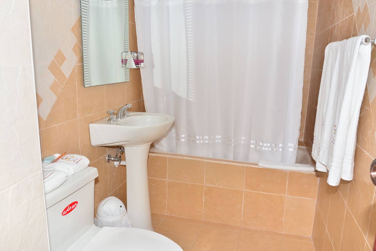 Combined shower/bathtub, hair dryer, towels