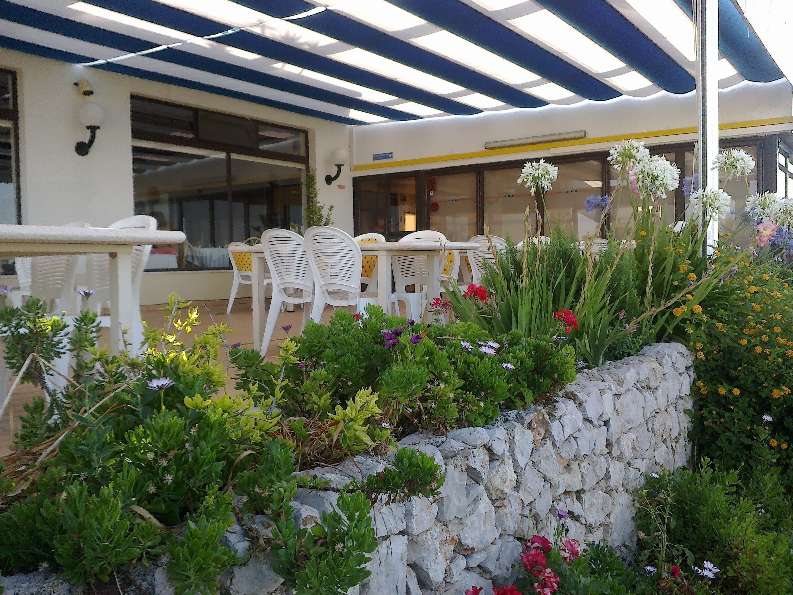 mediterranean cuisine