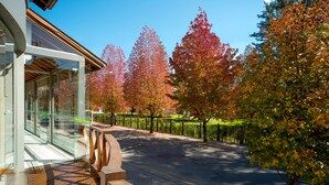 A modern building with a glass facade, a wooden deck, and a paved pathway lined with trees displaying autumn foliage. - Hotel Laghetto Premio (Gramado)