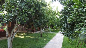 Jardin