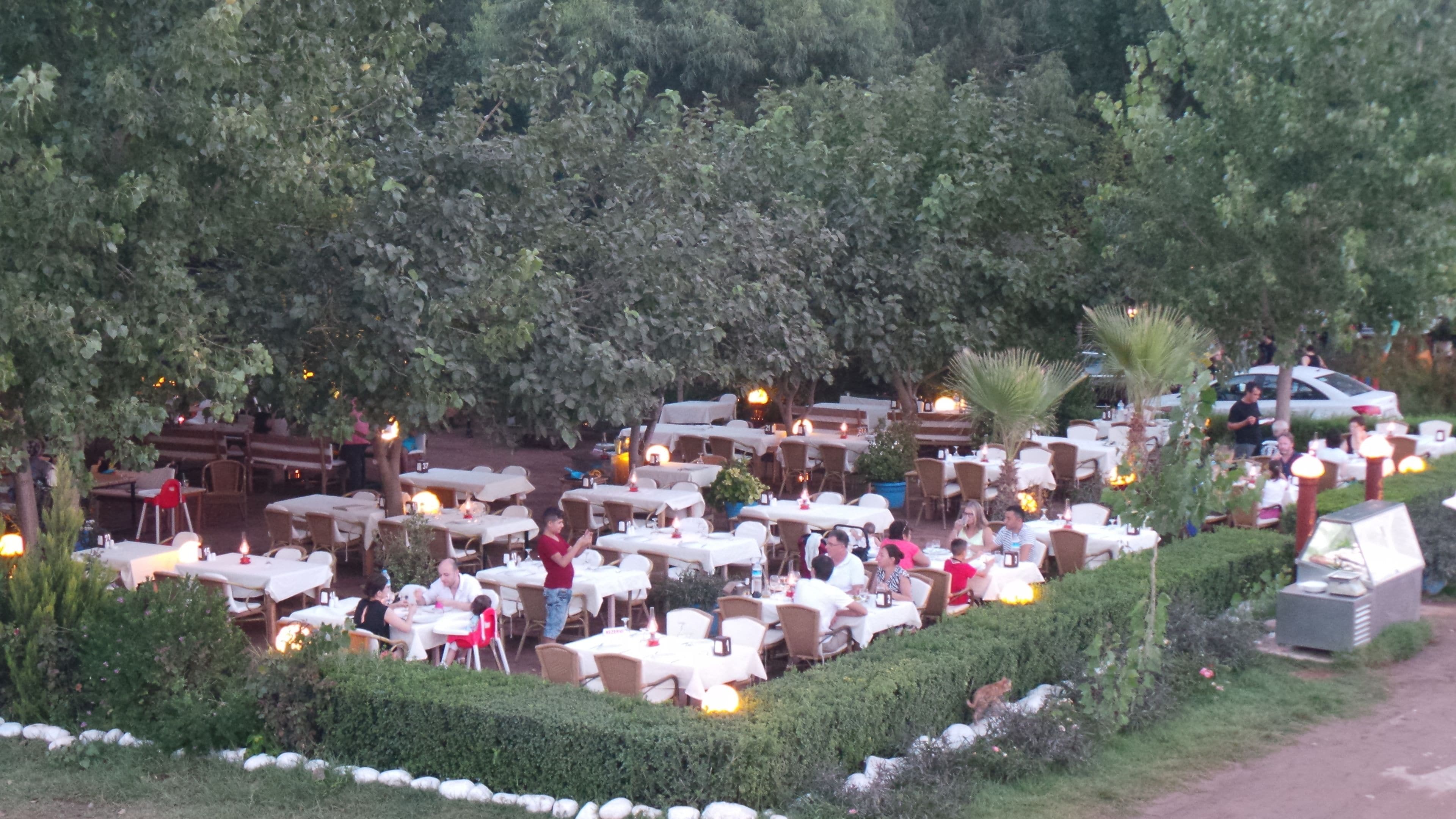 An outdoor restaurant with multiple tables and chairs, surrounded by dense greenery.