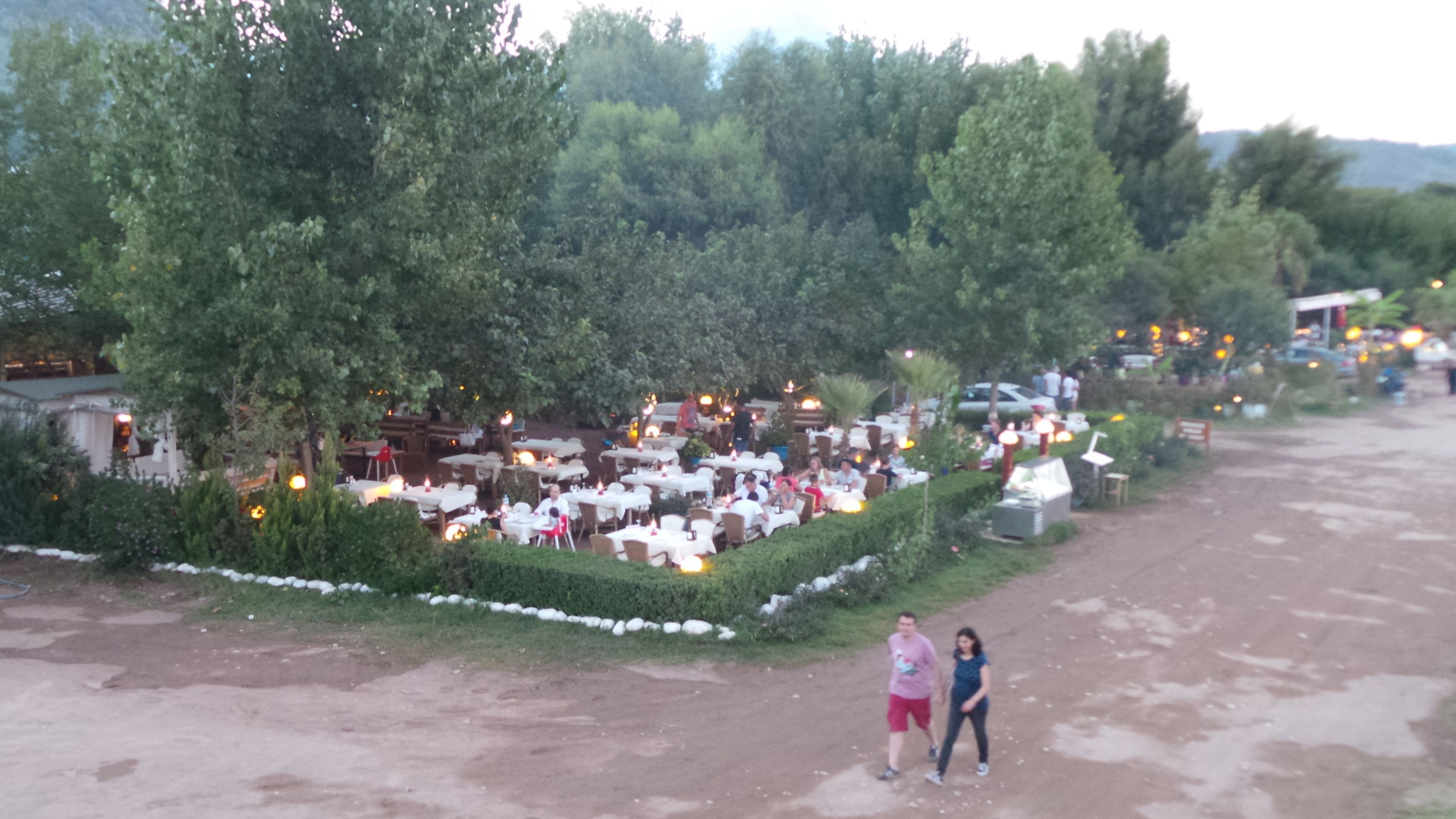 Un restaurante al aire libre con mesas y sillas dispuestas en filas, rodeado de árboles y follaje.