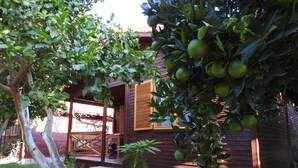 Una casa de madera con porche, rodeada de vegetación y un árbol con frutos verdes.