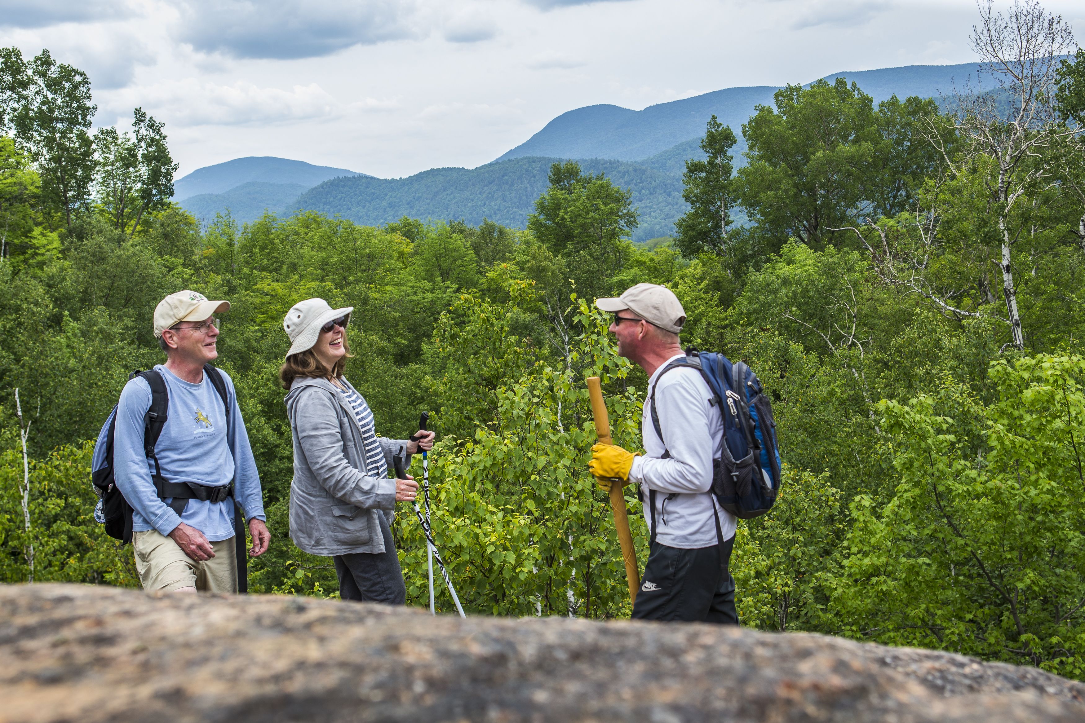 Four people hiking in a forested area with mountains in the background.