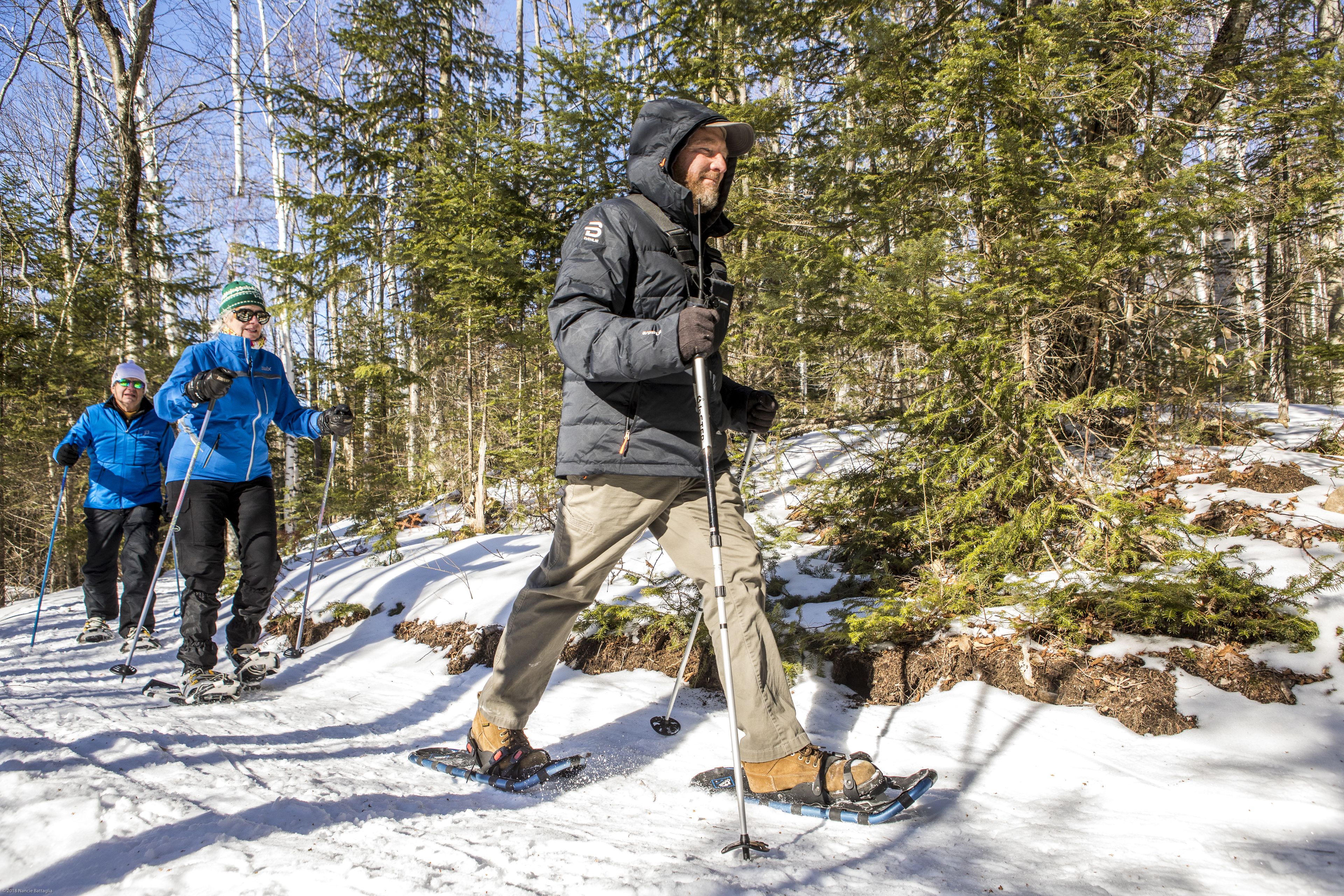 A group of people cross-country skiing in a forested area with snow on the ground.