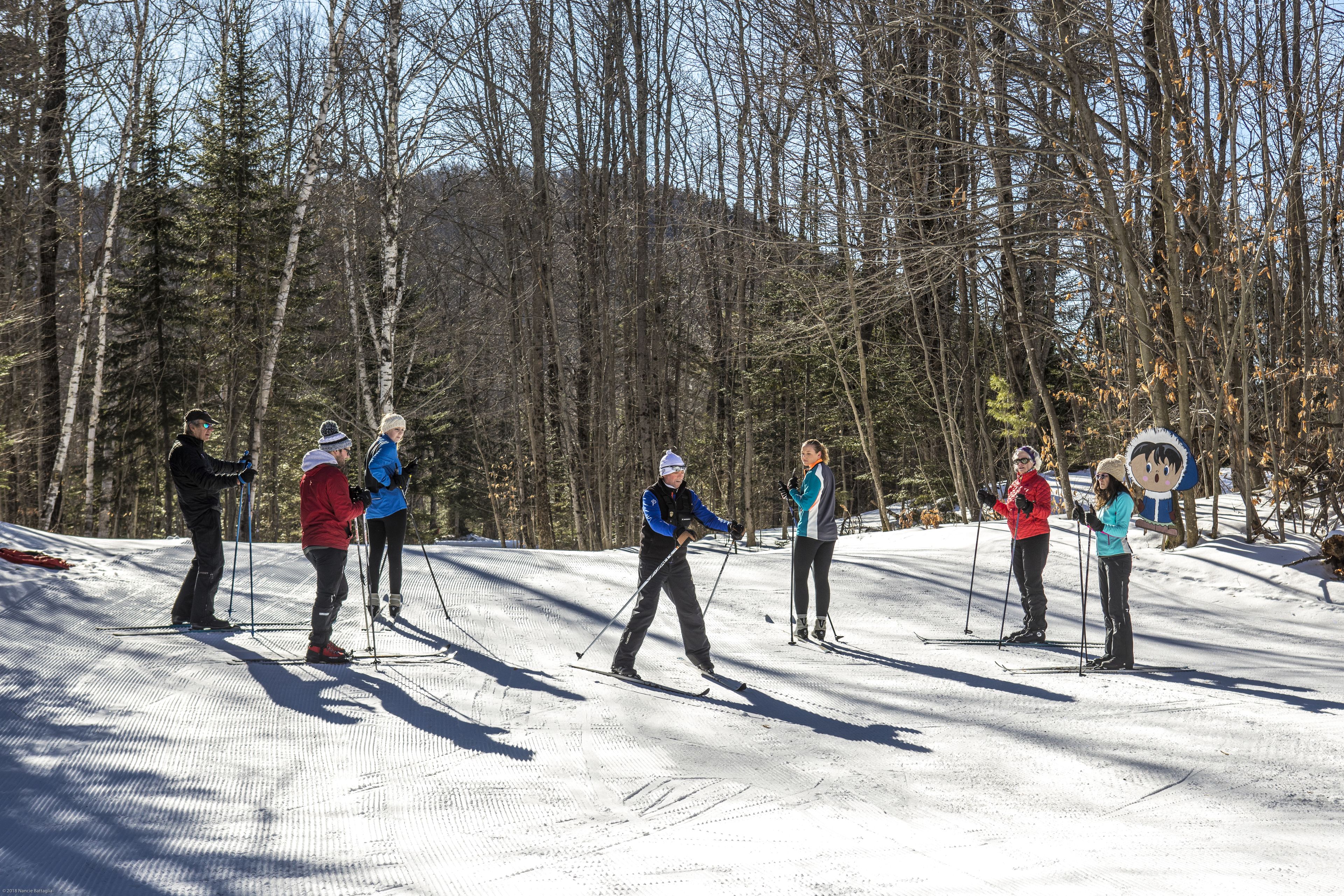 A group of people skiing on a snowy slope with trees in the background.