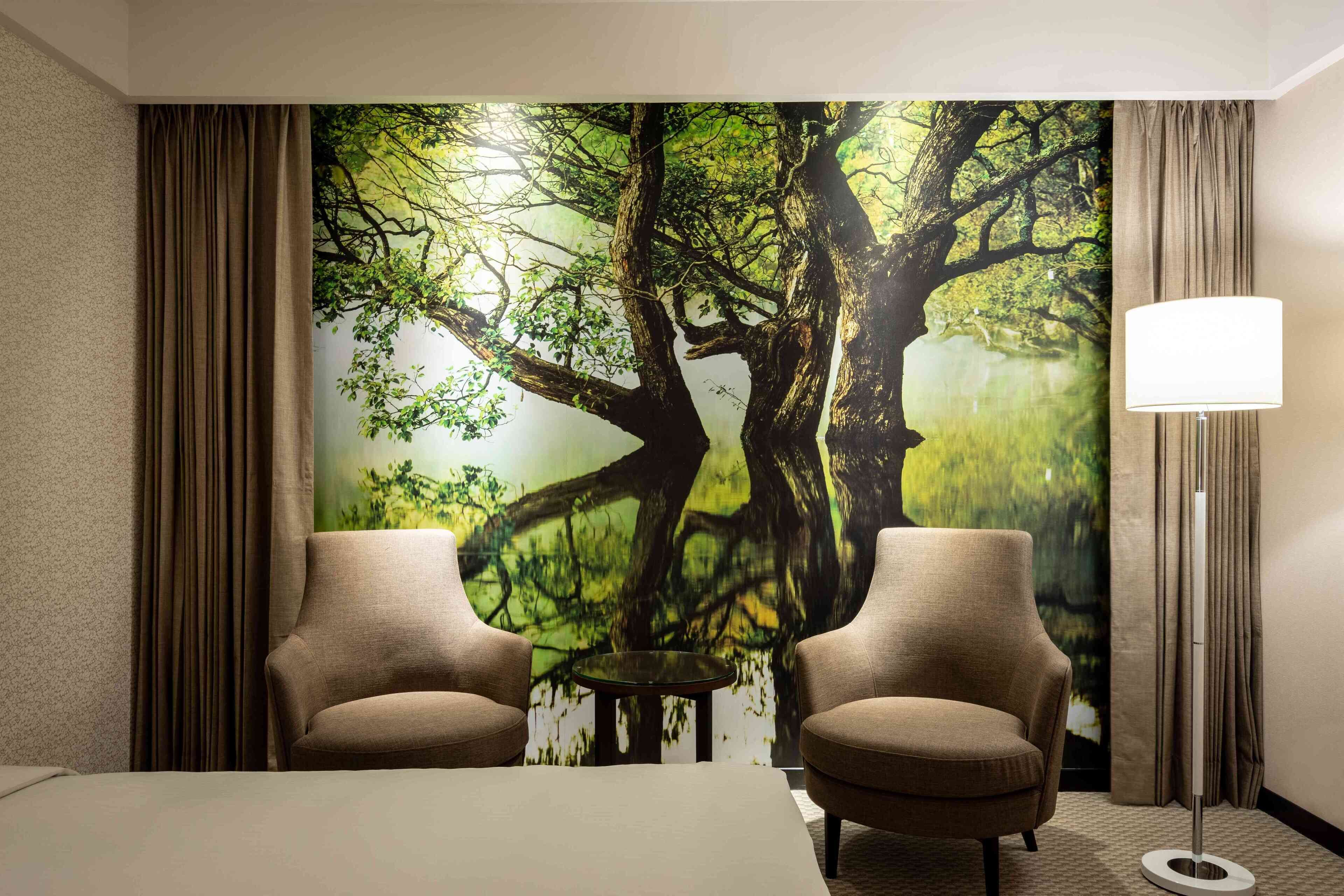 Míníbar, öryggishólf í herbergi, skrifborð, myrkratjöld/-gardínur