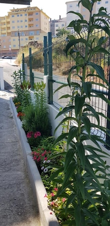 Property grounds. Residencial Ferrinho