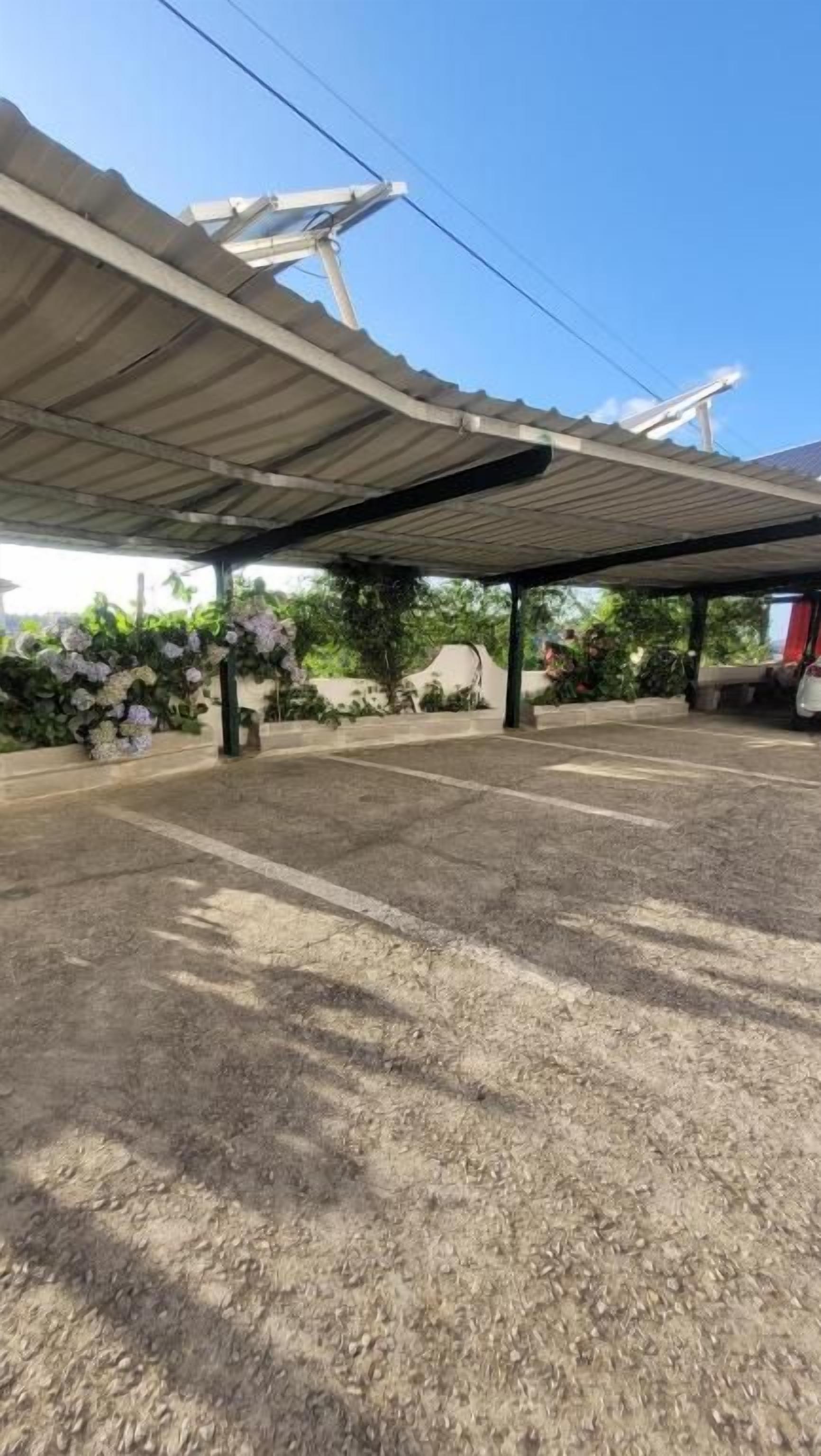 Un área de estacionamiento techada con piso de concreto y algo de vegetación al fondo.