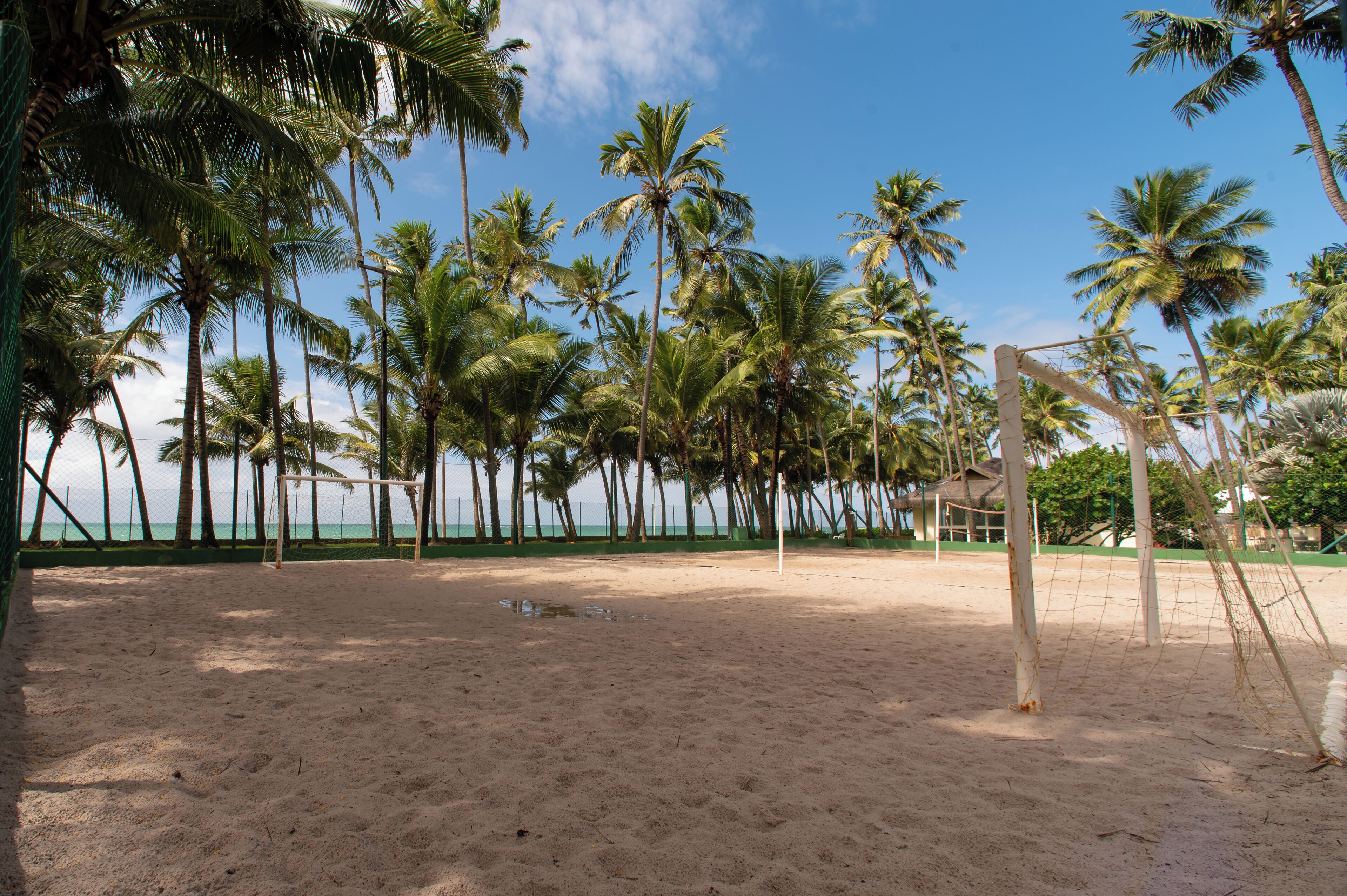 A beach volleyball court with a net, surrounded by palm trees and a clear sky.