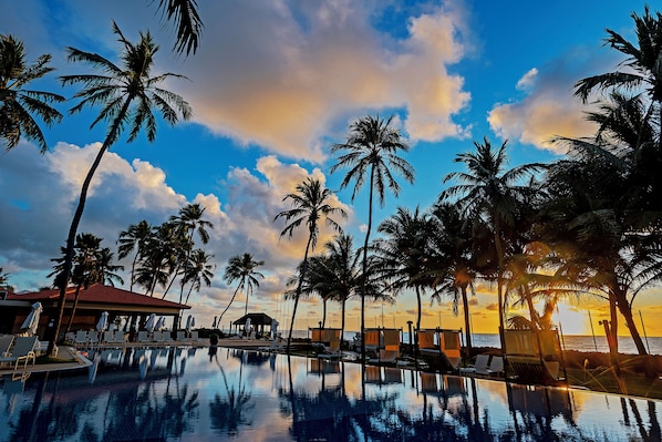 Outdoor pool, pool loungers