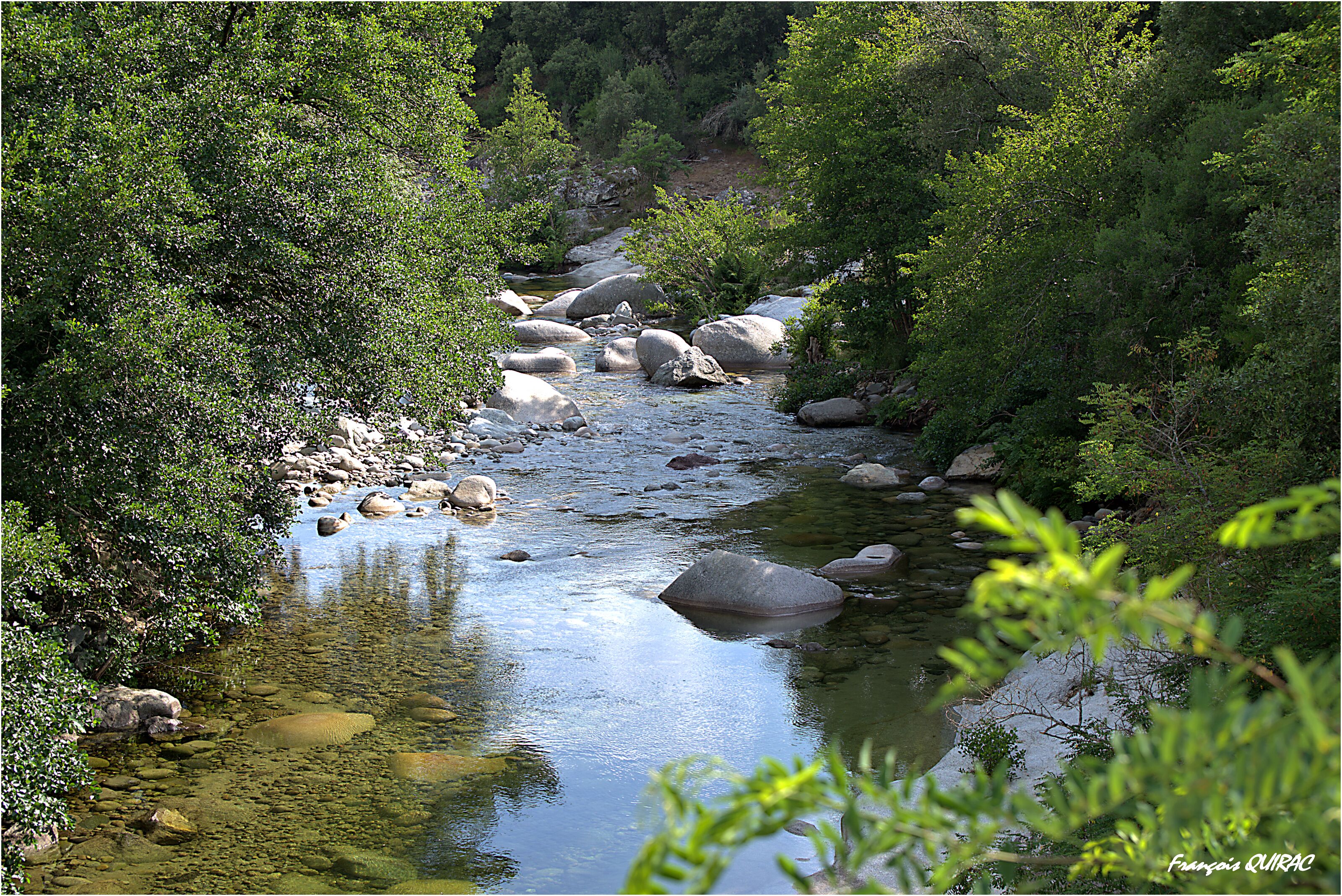 A river flowing through a forest with rocks and trees.