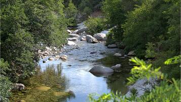 A river flowing through a forest with rocks and trees.