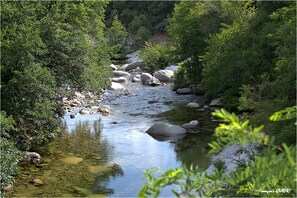 A river flowing through a forest with rocks and trees. - Hôtel Des Deux Sorru (Poggiolo)