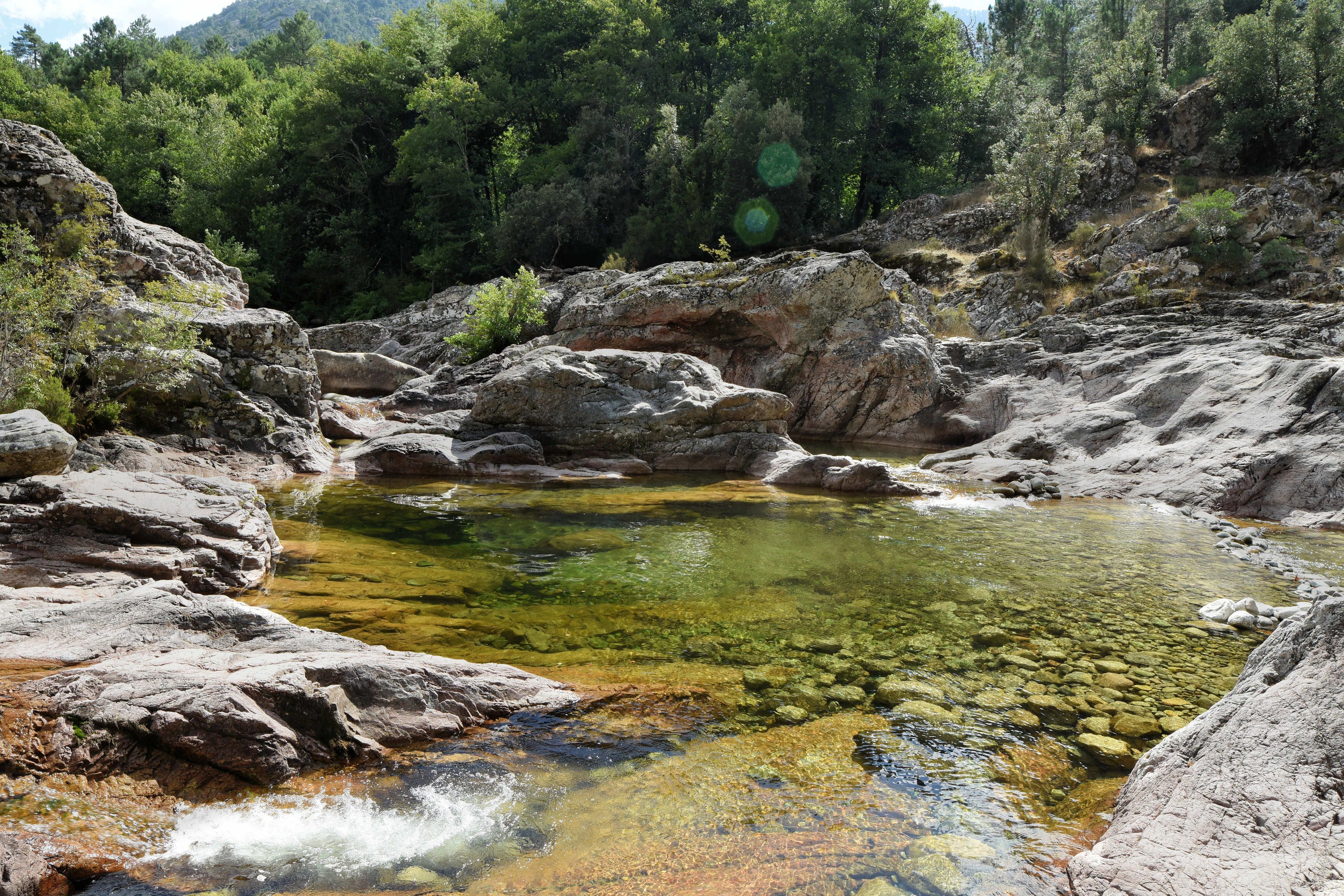 Foto - Auberge des Deux Sorru