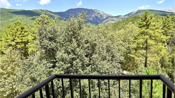 Habitación doble | Vista a la montaña