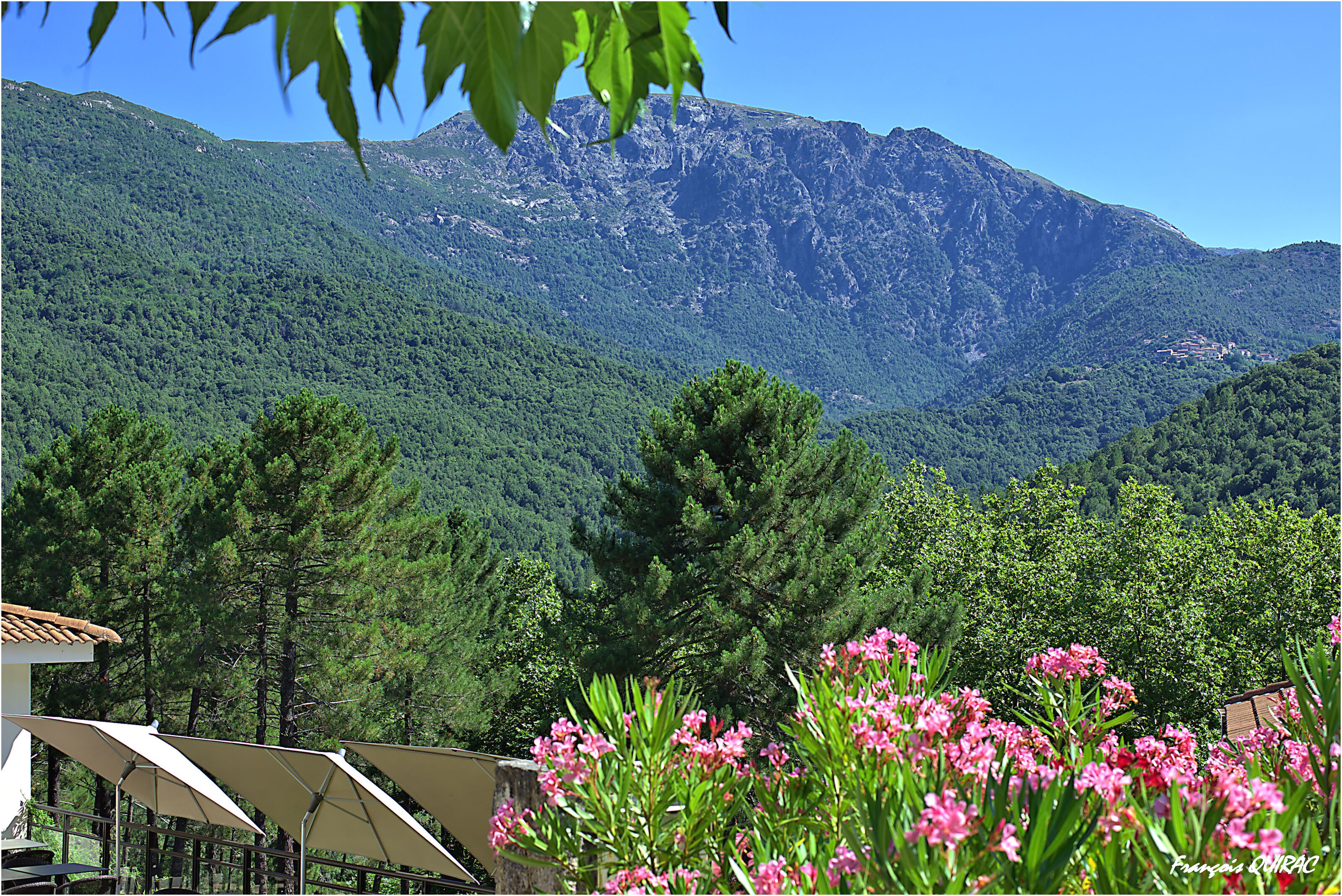 Foto - Auberge des Deux Sorru