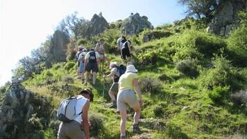 A group of hikers ascending a grassy hill with rocky outcrops.