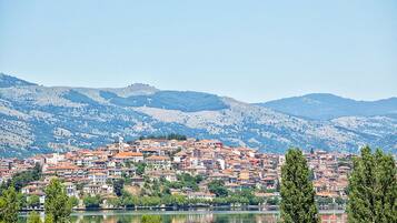 A town with buildings on a hillside overlooking a lake.