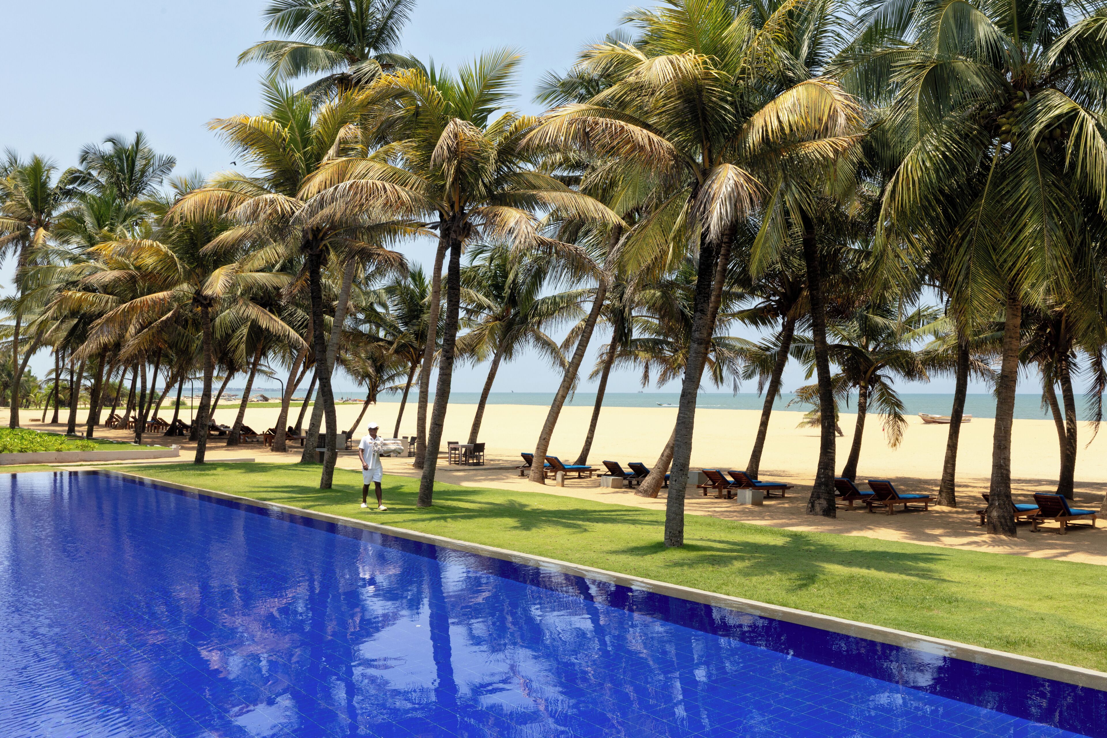 Zona junto a la piscina con palmeras, playa y sillas de descanso.