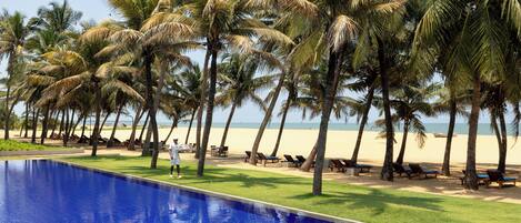 Zona junto a la piscina con palmeras, playa y sillas de descanso.