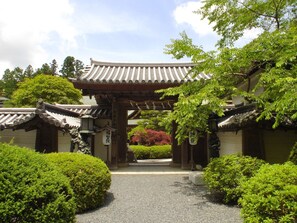 外觀