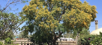 Club Boutique Hotel Cunnamulla
