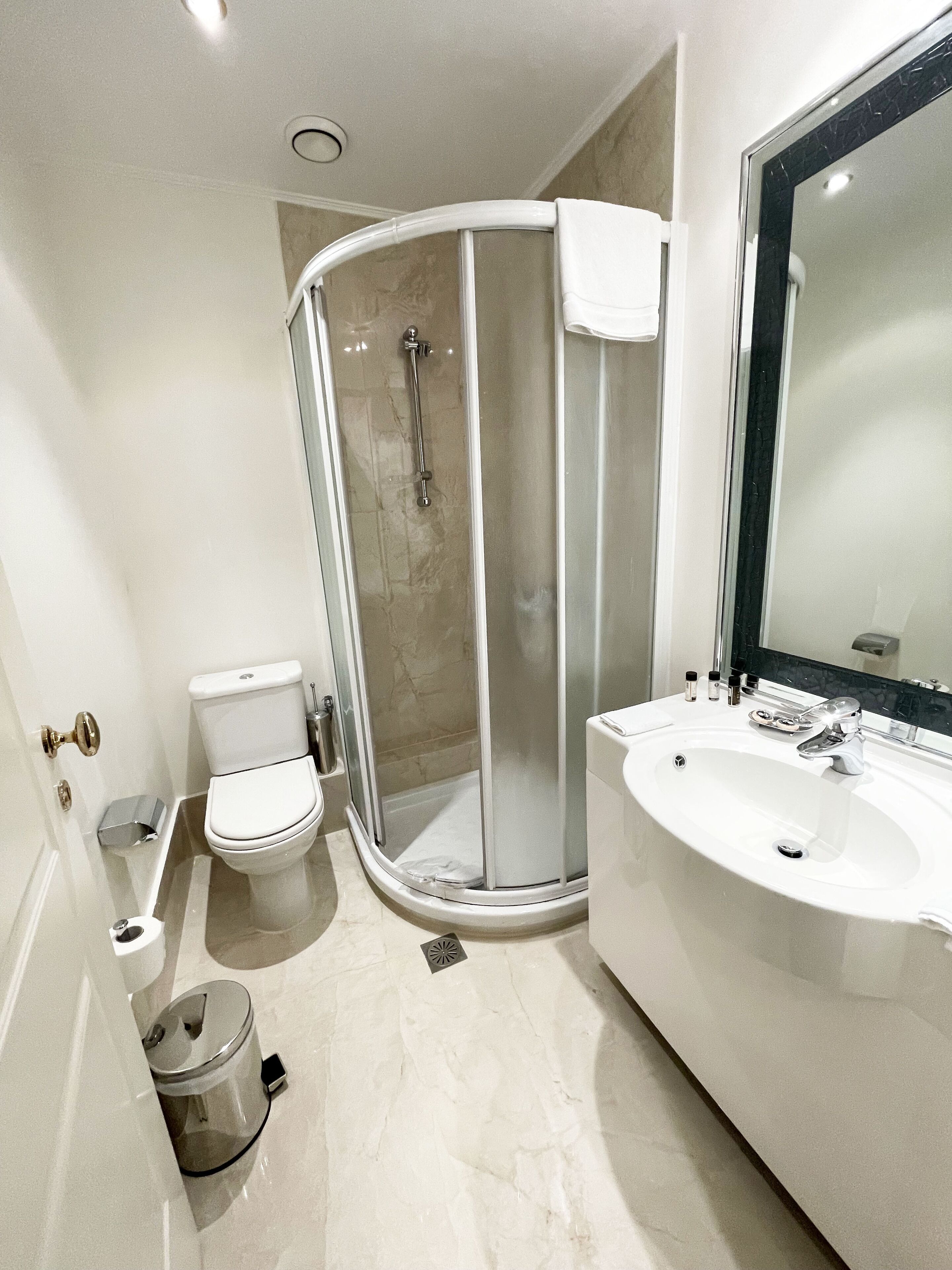 A modern bathroom with a glass-enclosed shower, a toilet, and a sink with a large mirror.