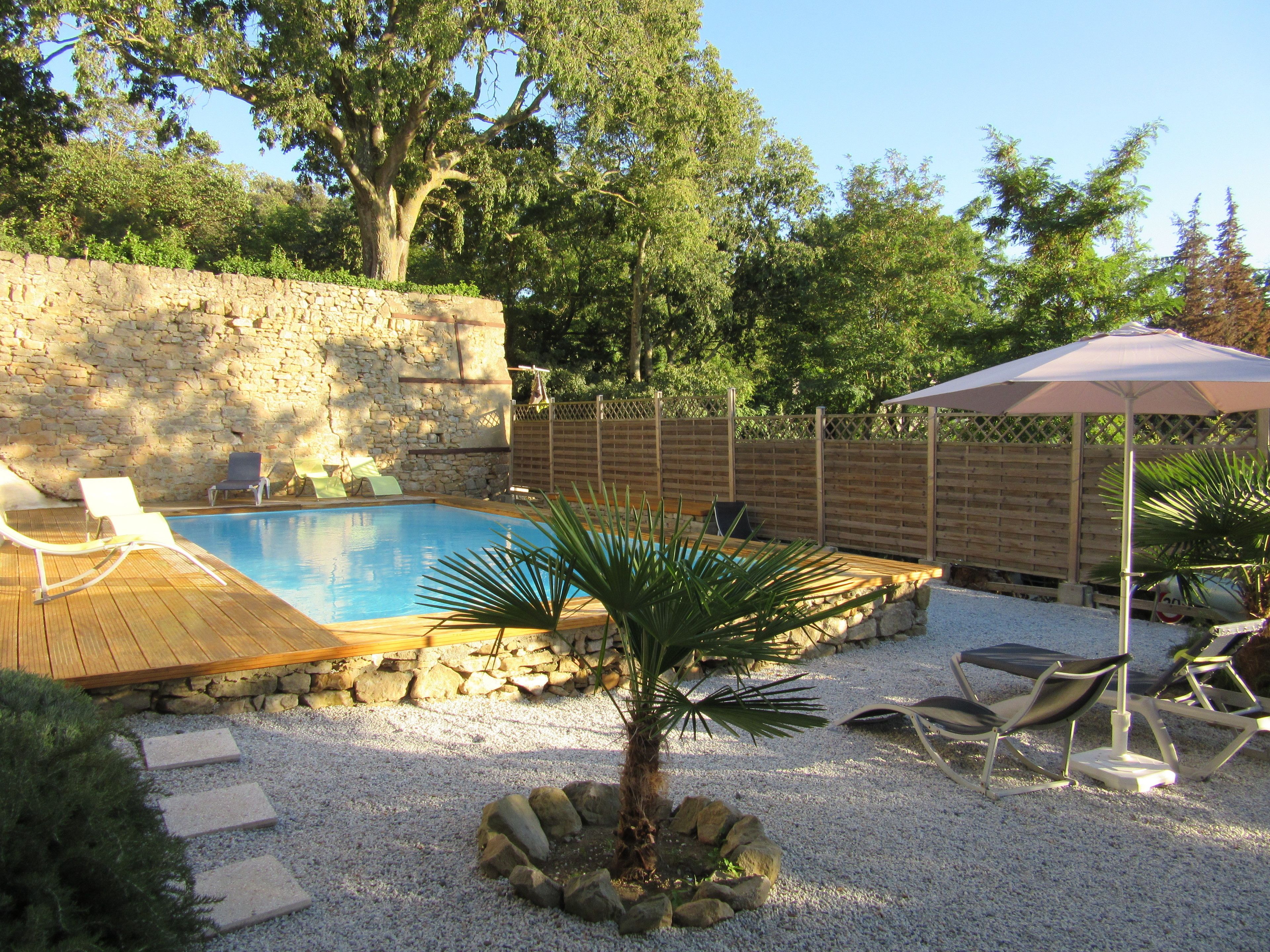 Ein Garten mit Pool, einer Holzterrasse, Liegestühlen und einer Palme.