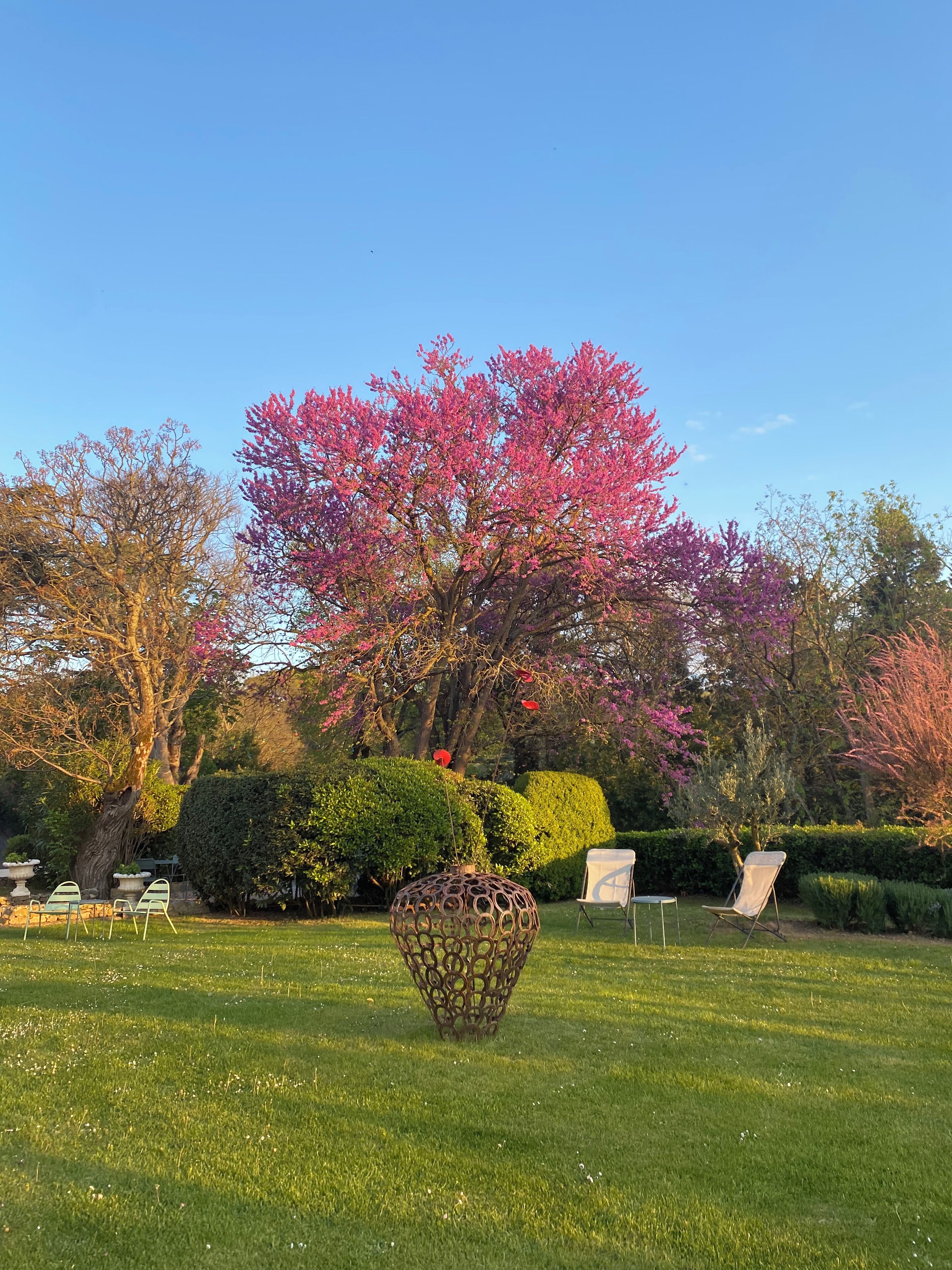 Un jardín con un gran árbol de flores rosadas, arbustos cuidadosamente recortados y una escultura de metal en el centro.