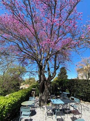 BBQ/picnic Area - Hotel Château de Palaja (Palaja)