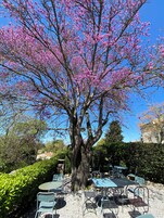 Área para churrasco/piquenique
