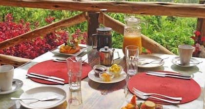 Gorilla Safari Lodge