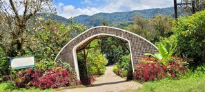 An arched entrance to a garden with a signboard, surrounded by lush greenery and flowering plants. - Gorilla Safari Lodge (Bwindi)