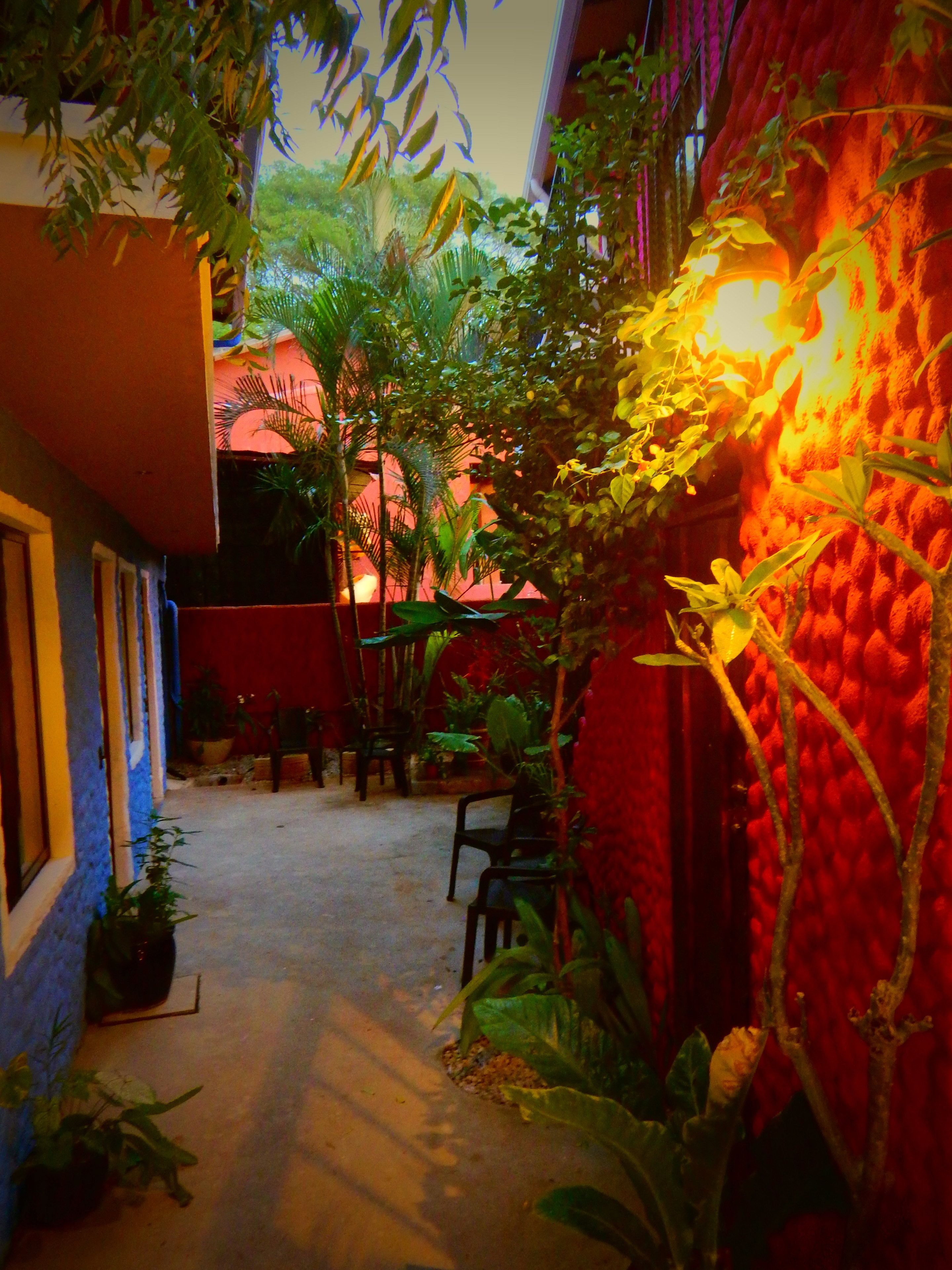 An indoor garden with potted plants, a table, and chairs.