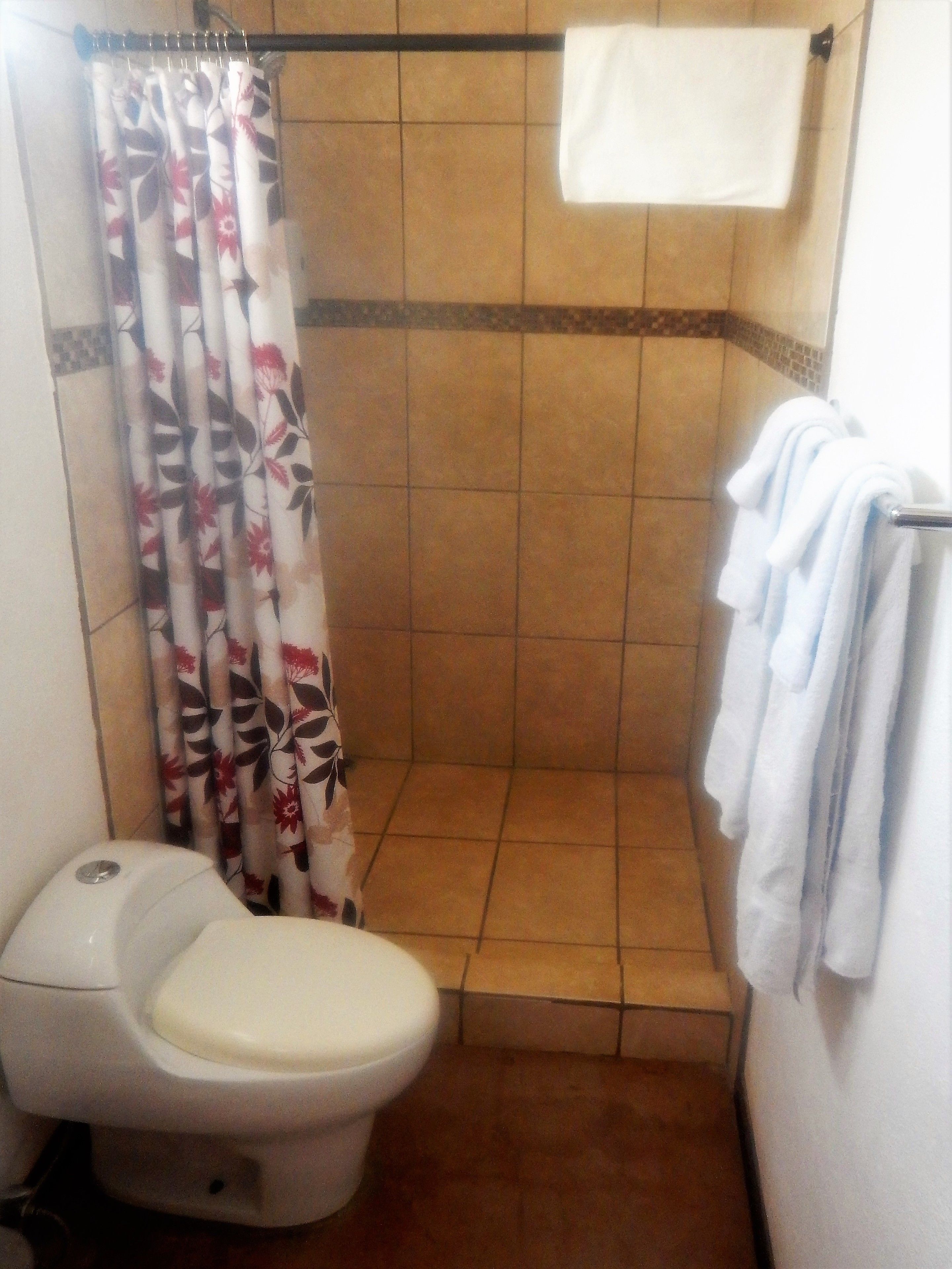 A bathroom with a toilet, shower, and a towel rack.