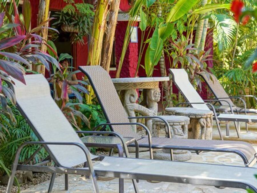 A row of sun loungers with a stone table in a tropical garden setting.