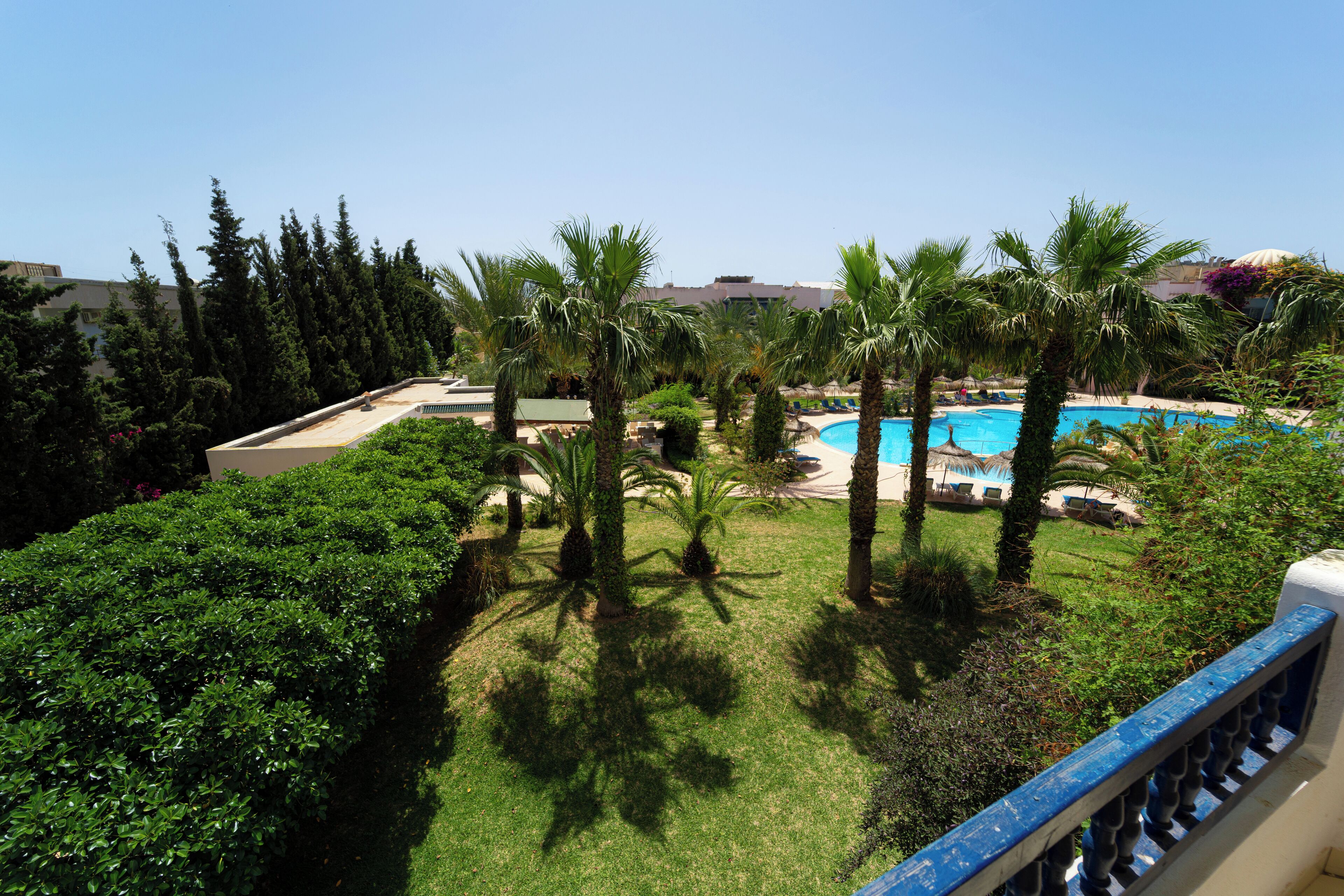 A pool area with palm trees and a clear blue sky.