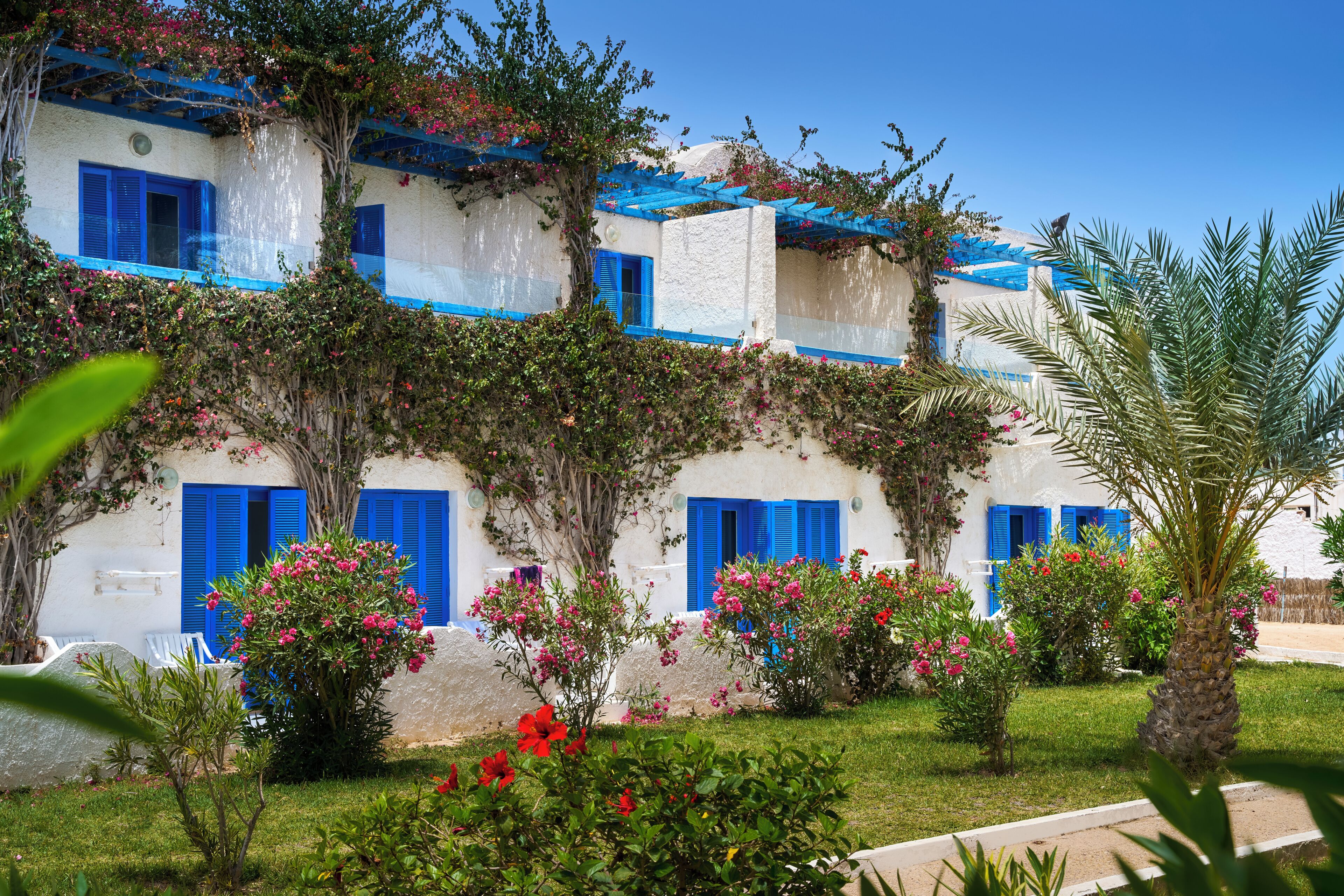 Un edificio blanco con contraventanas azules y un jardín con flores rosas y una palmera.