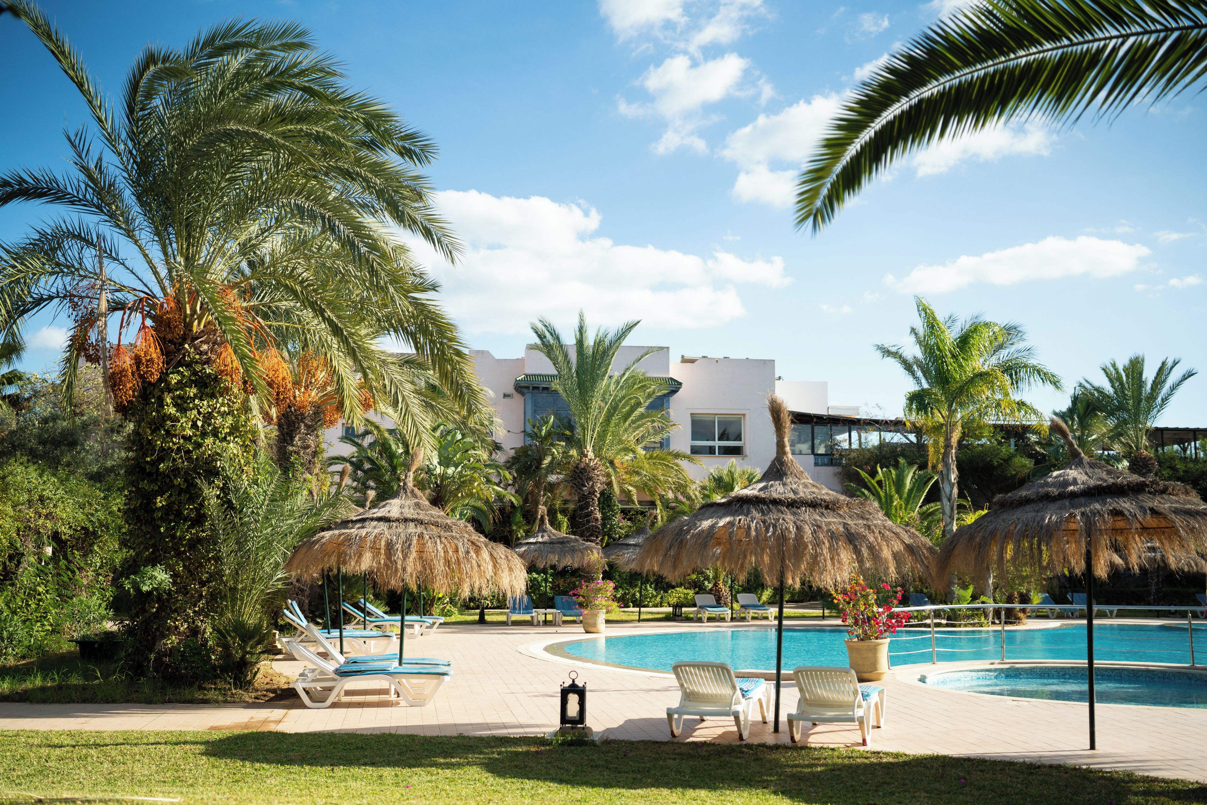 A pool area with lounge chairs, palm trees, and thatched umbrellas.