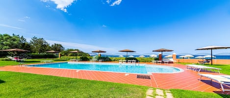 A swimming pool with lounge chairs and umbrellas, surrounded by a well-maintained lawn and a fence.