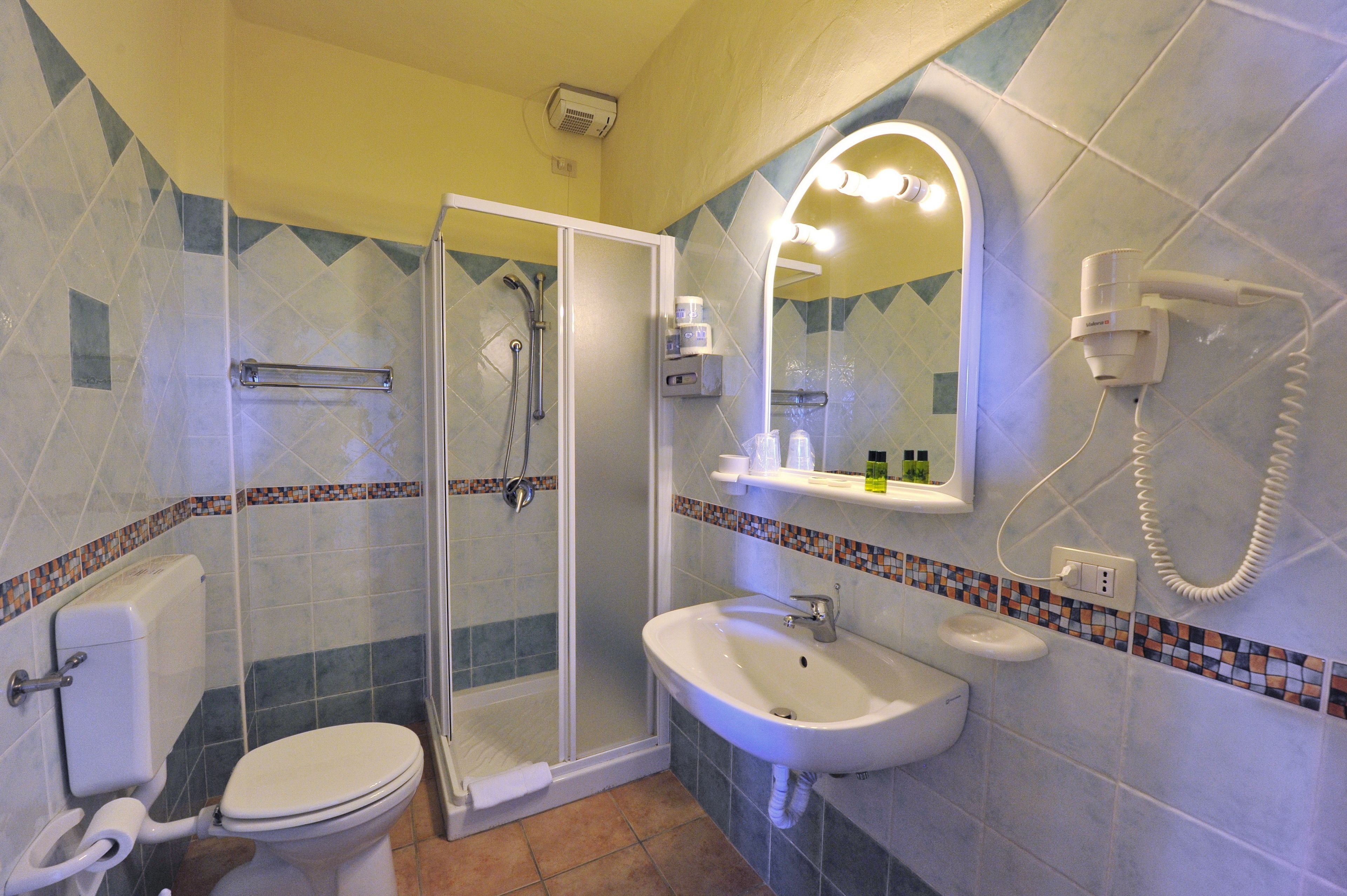 standard room | bathroom | shower, hair dryer, towels