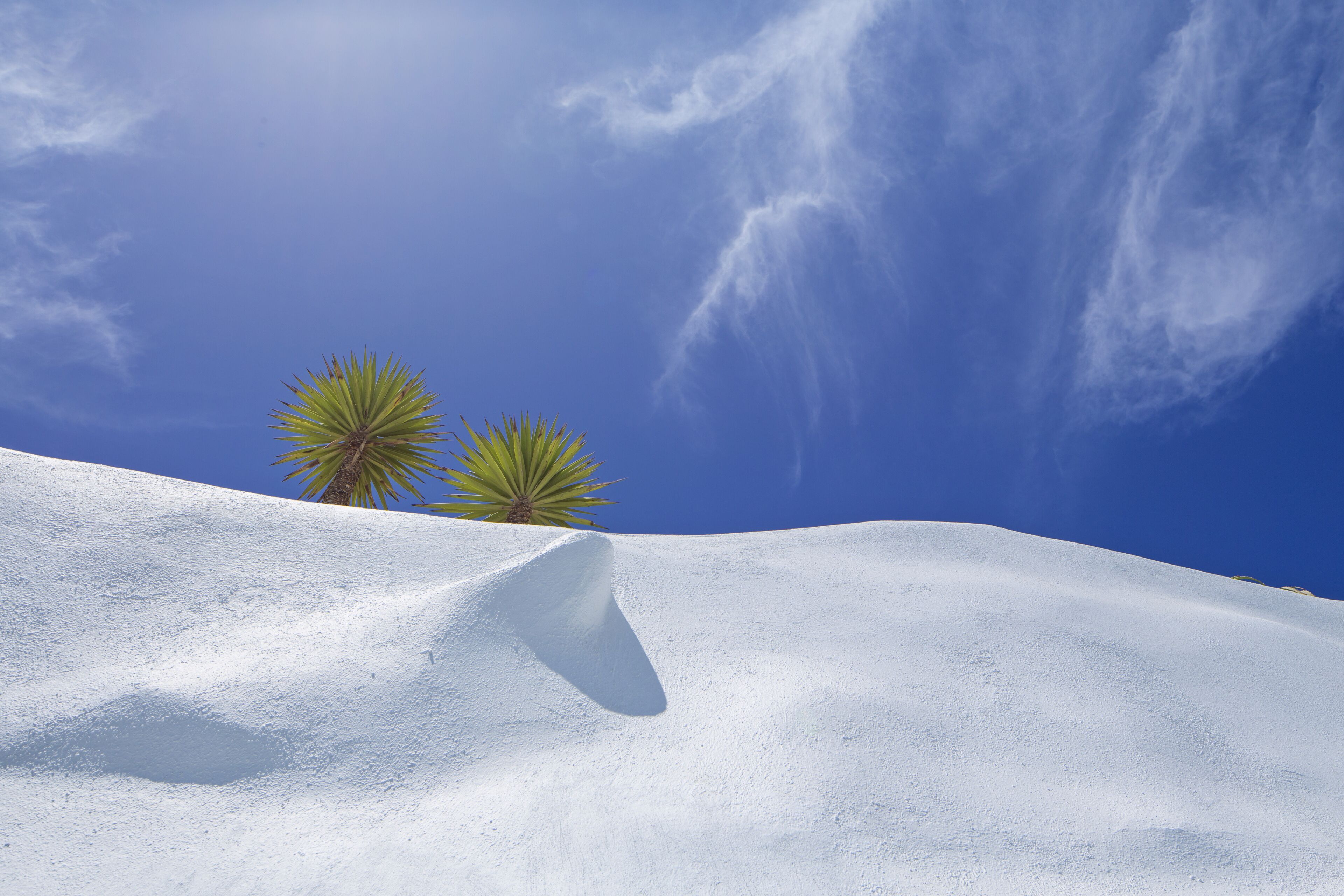 Foto - Alta Vista Suites