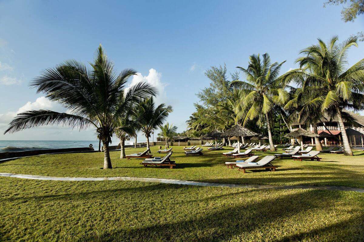 A resort with sun loungers, palm trees, and a view of the ocean.