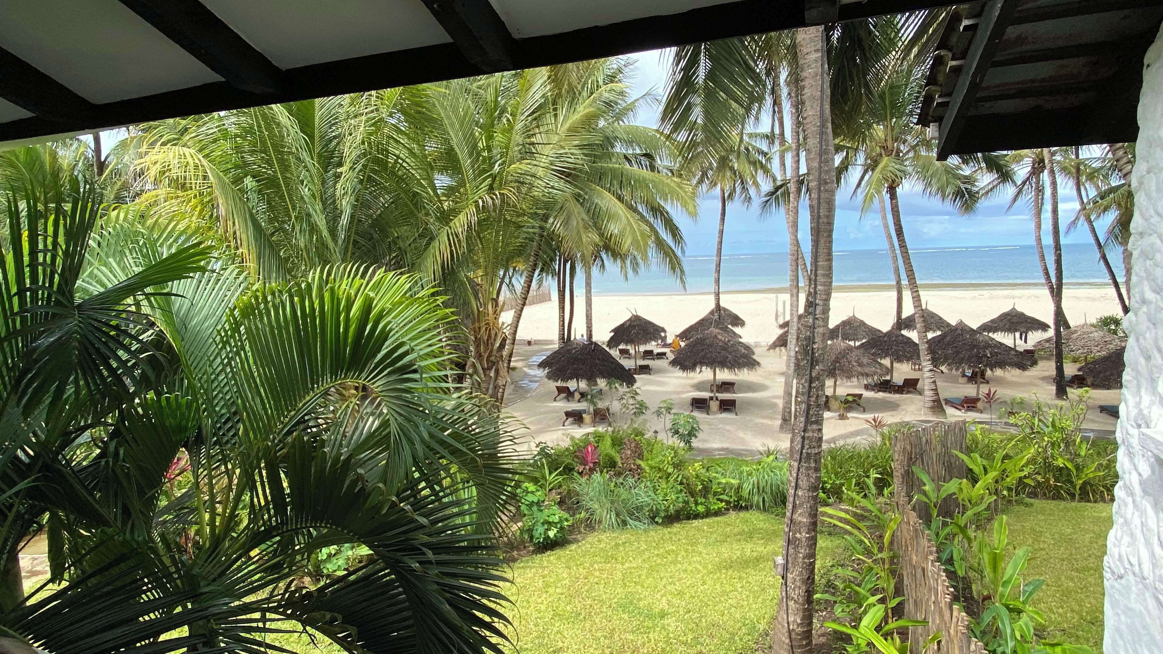 Vista de playa con palmeras y sombrillas de paja.