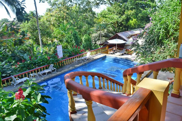 Outdoor pool, pool umbrellas, pool loungers