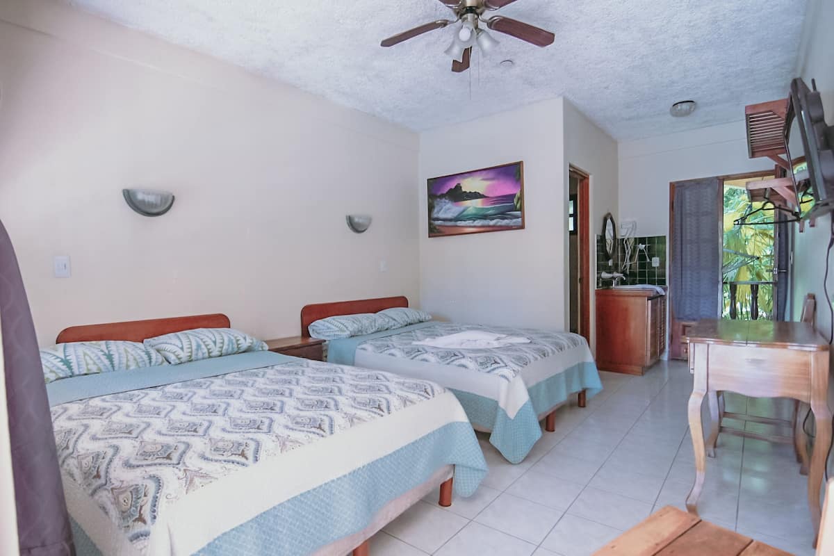 A room with two beds, a desk, a ceiling fan, a painting, and a view of the outdoors.
