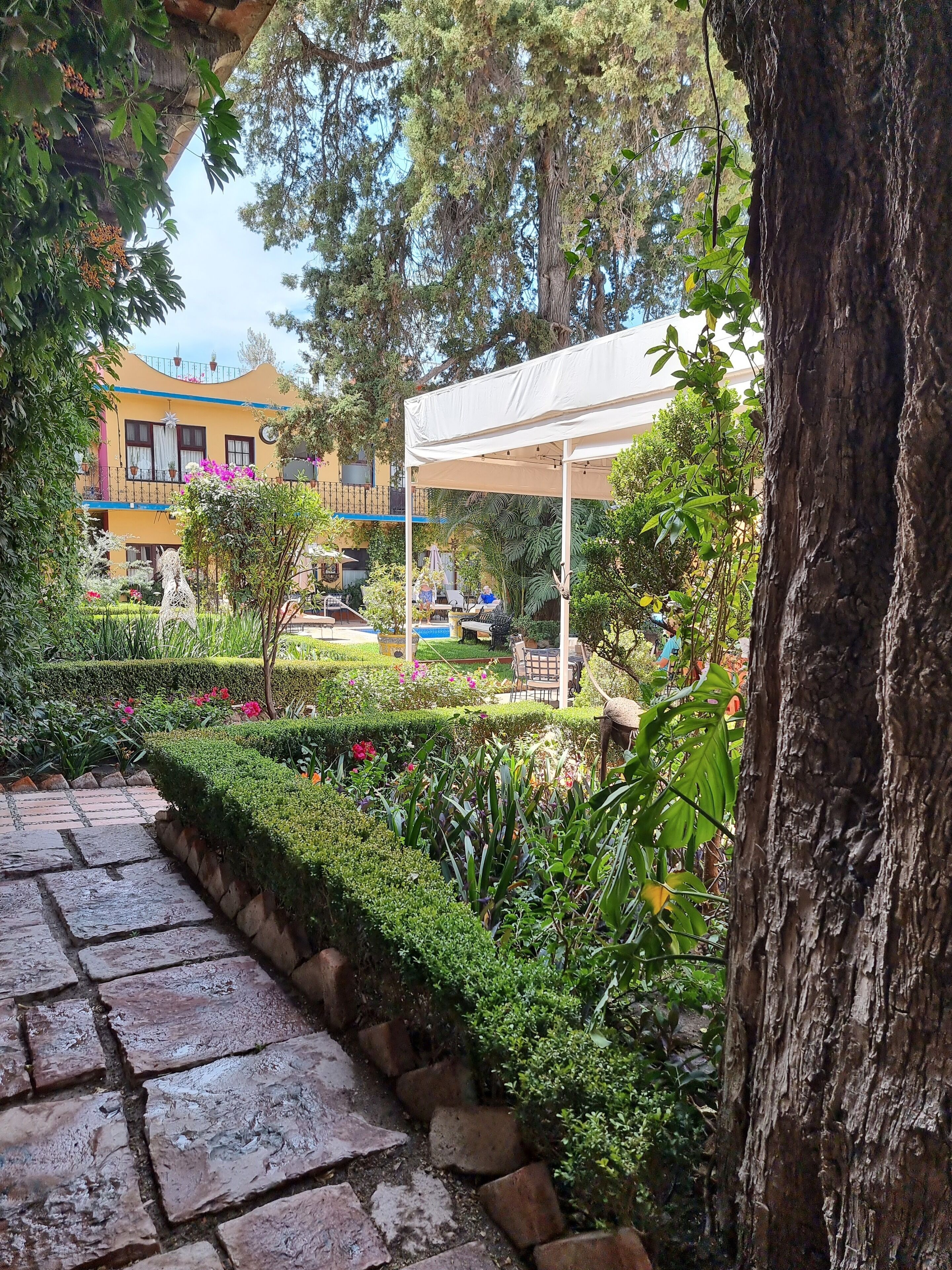 Un jardín con paseo empedrado, piscina y zona de estar cubierta.