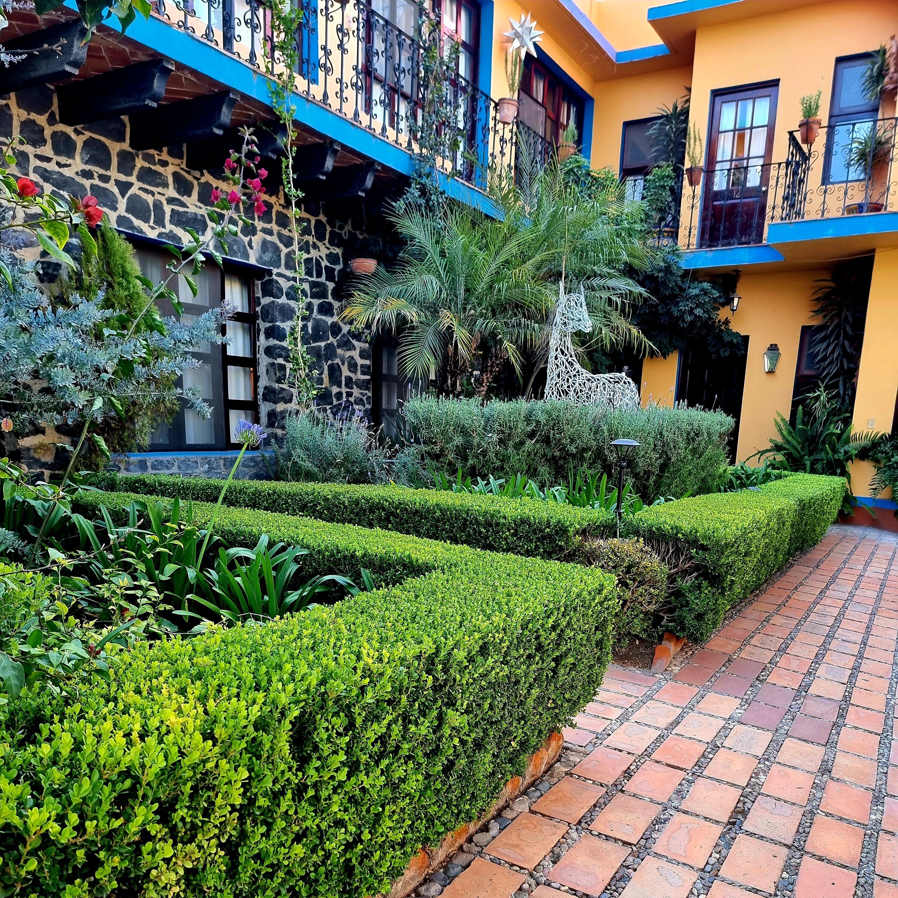 family suite | garden view