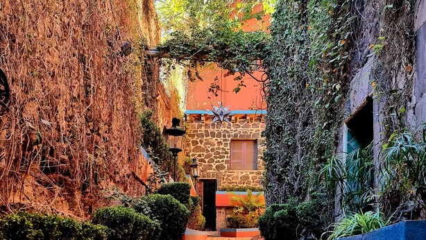 A narrow brick pathway flanked by walls covered in dense vines, leading to a stone building with a red door and a window. - Hacienda de las Flores (San Miguel de Allende)